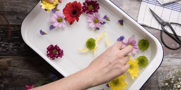 Two hands arranging the flowers in a tub of water