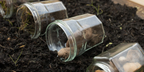 Jam jars on their sides on a bed of soil, filled with rocks / --