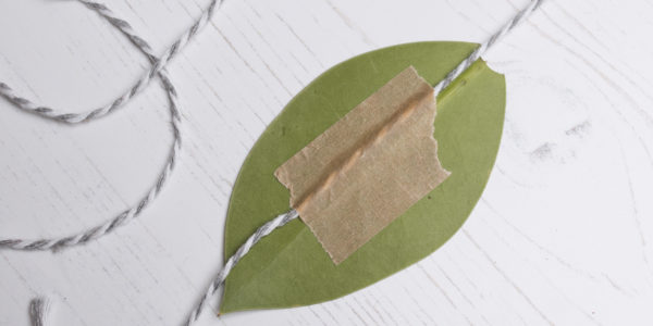A leaf attached to a string with a bit of brown sticky tape