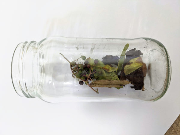 jar with plants inside