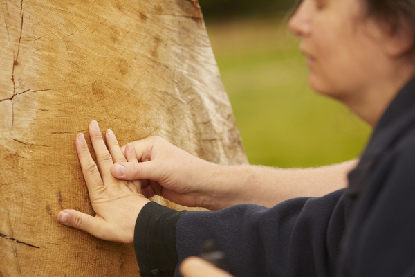 woman touching bark of tree