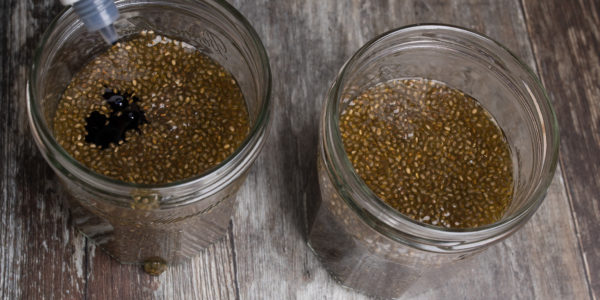 Adding food colouring to chia seeds in water