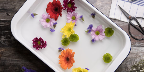 Colourful flowers floating on water in a tub of water