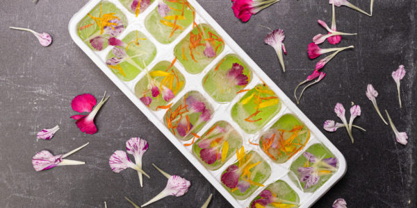 Image shows an ice cube tray of ice cubes with flowers inside