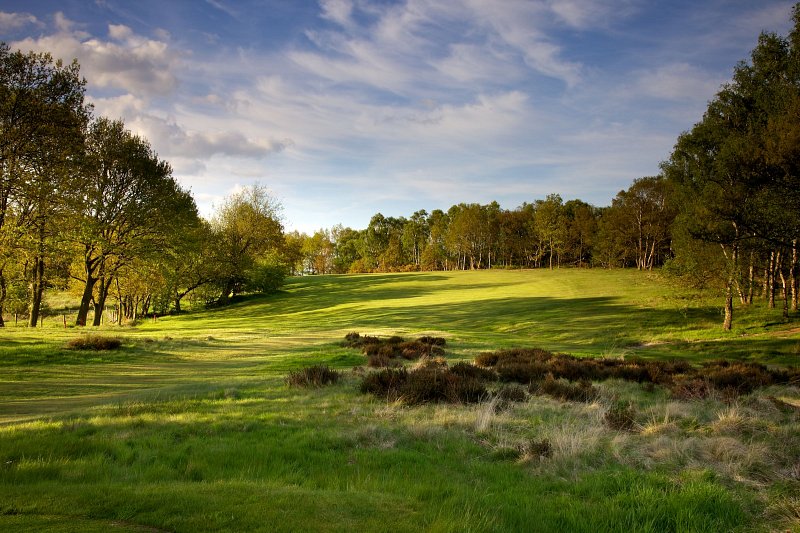 Alwoodley Golf Club Greens