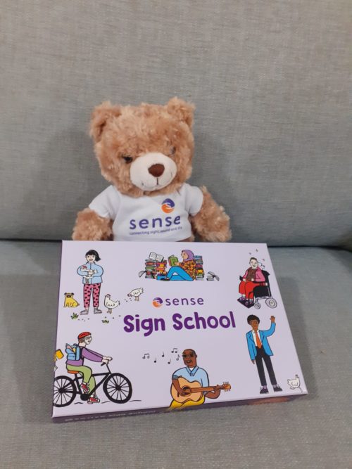 A teddy bear with a sense t-shirt on sits behind a pack that reads 'Sense Sign School' and has cartoons on it