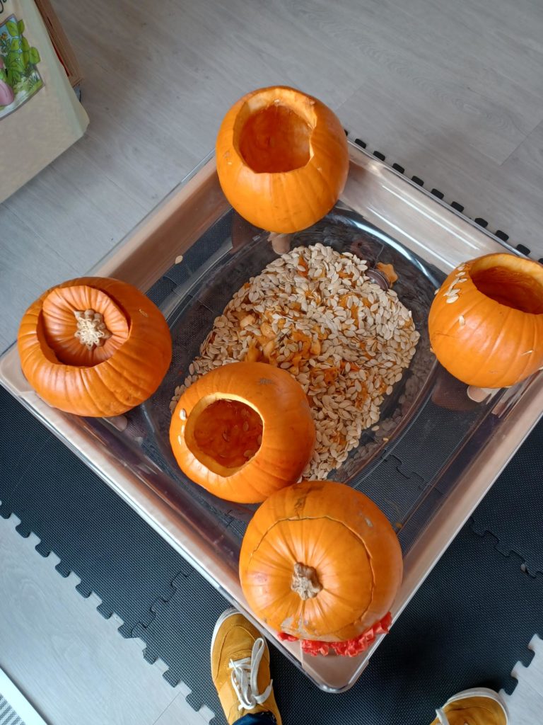 Hollowed-out pumpkins and a tray full of pumpkin seeds and insides