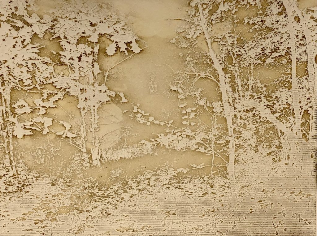 A tactile embossed piece of artwork showing trees and branches by artist Fae Kilburn