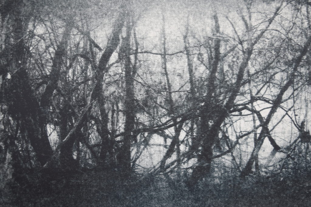 A black and white silkscreen print landscape, with fine tree branches in the foreground covering a lake. Areas of the image are blurred representing the loss of Fae’s vision in these areas, especially on the right hand side of the picture. 