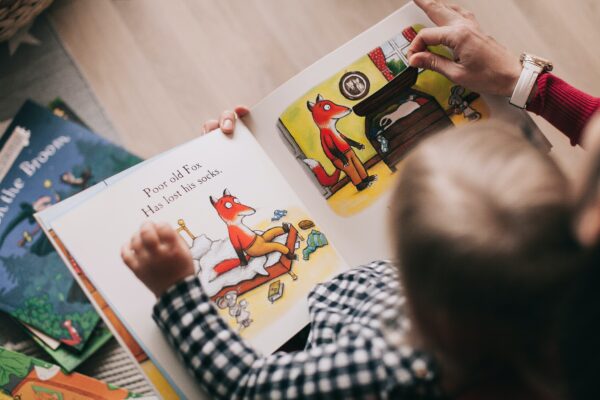 Young boy reading a story about foxes