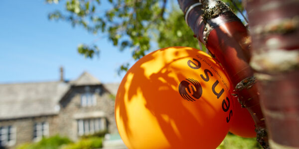 Orange sense branded balloon tied to a tree.