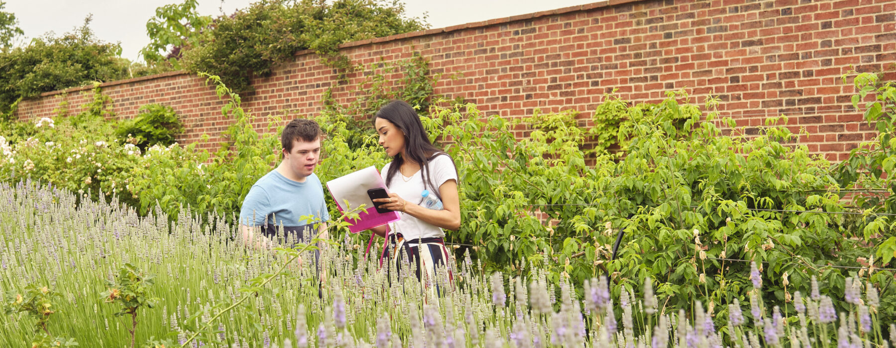 A young man and a woman stand in a walled lavender garden, they're looking at a clipboard.