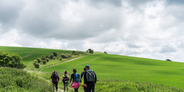 A group of walkers head up a low hill on a cloudy day.