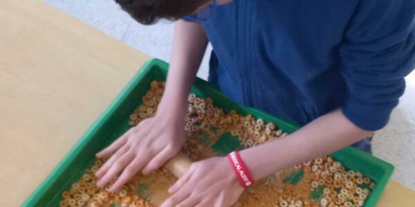 A boy looks closely at dried cereal in a tray