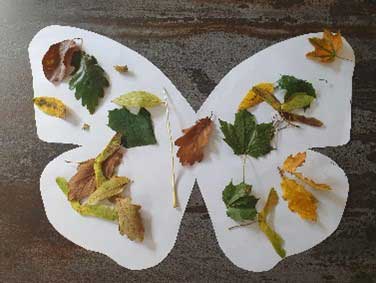 A collage of leaves in the shape of a butterfly