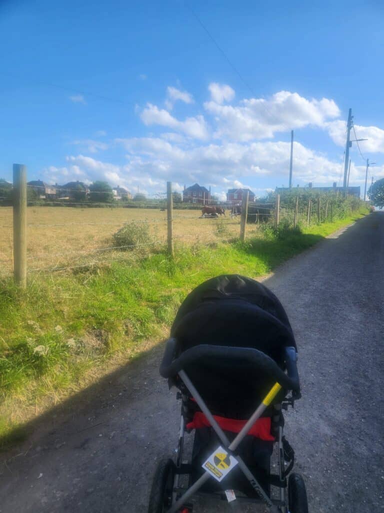 A black pushchair on a path, in front of a green field with cows in it.
